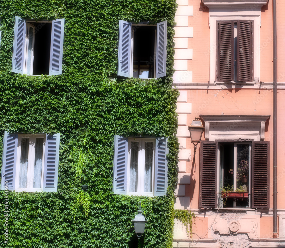 Italian building covered with ivy in Rome 