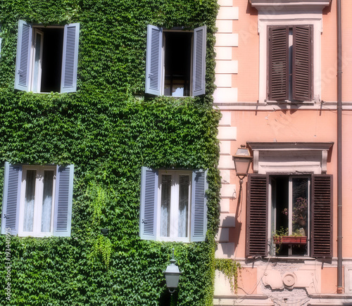Photography Italian building covered with ivy in Rome
