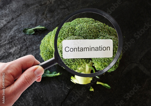 Detecting food contamination