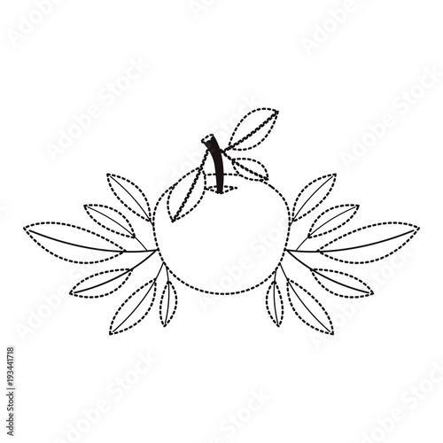 orange with leafs fresh and citrus fruit vector illustration design