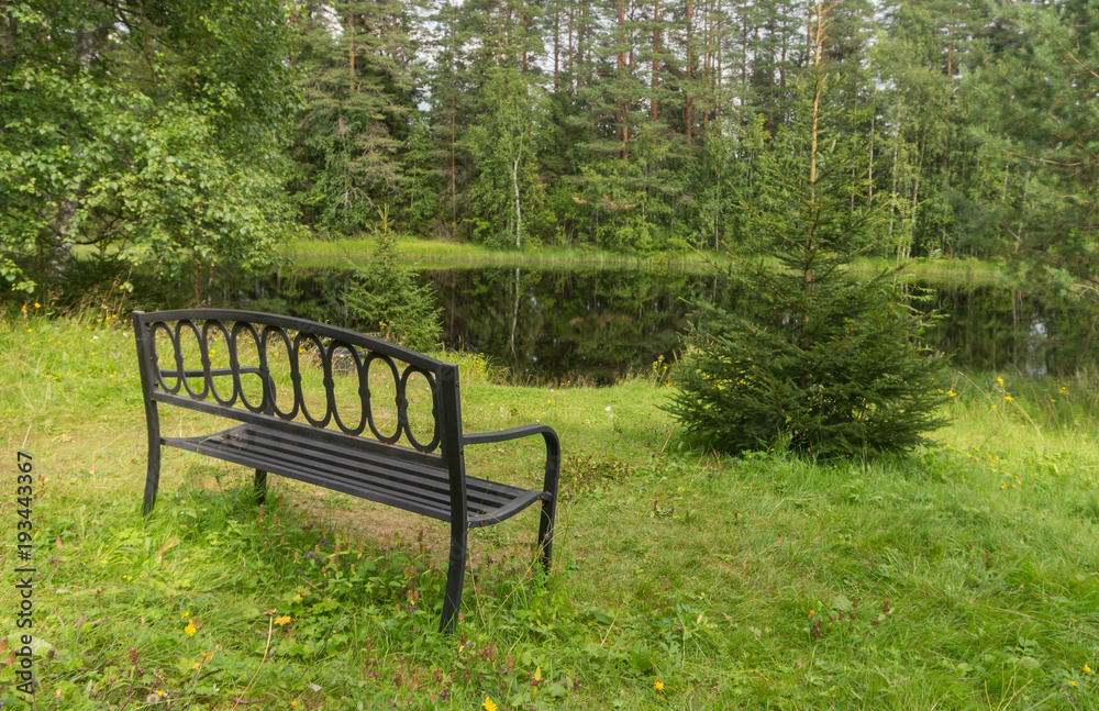 Old metal forged bench on the lake shore