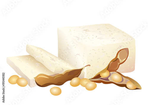 Tofu (soy bean curd) with soybeans and pods. Hand drawn vector illustration isolated on white background.