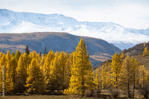 Landscapes of the Mountains at autumn, Altai Republic, Russia.