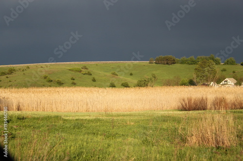 Landscape of wheat field highland before rain with heavy grey cloids and sun from another side photo