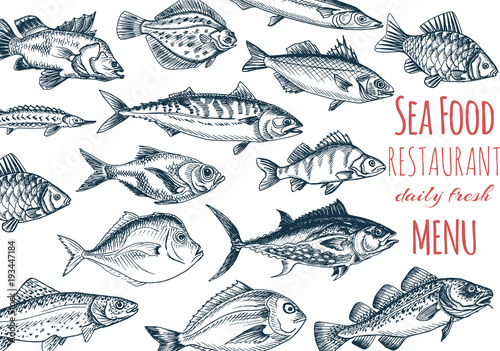 Vector illustration sketch - seafood. Card Menu restaurant. vintage design template, banner