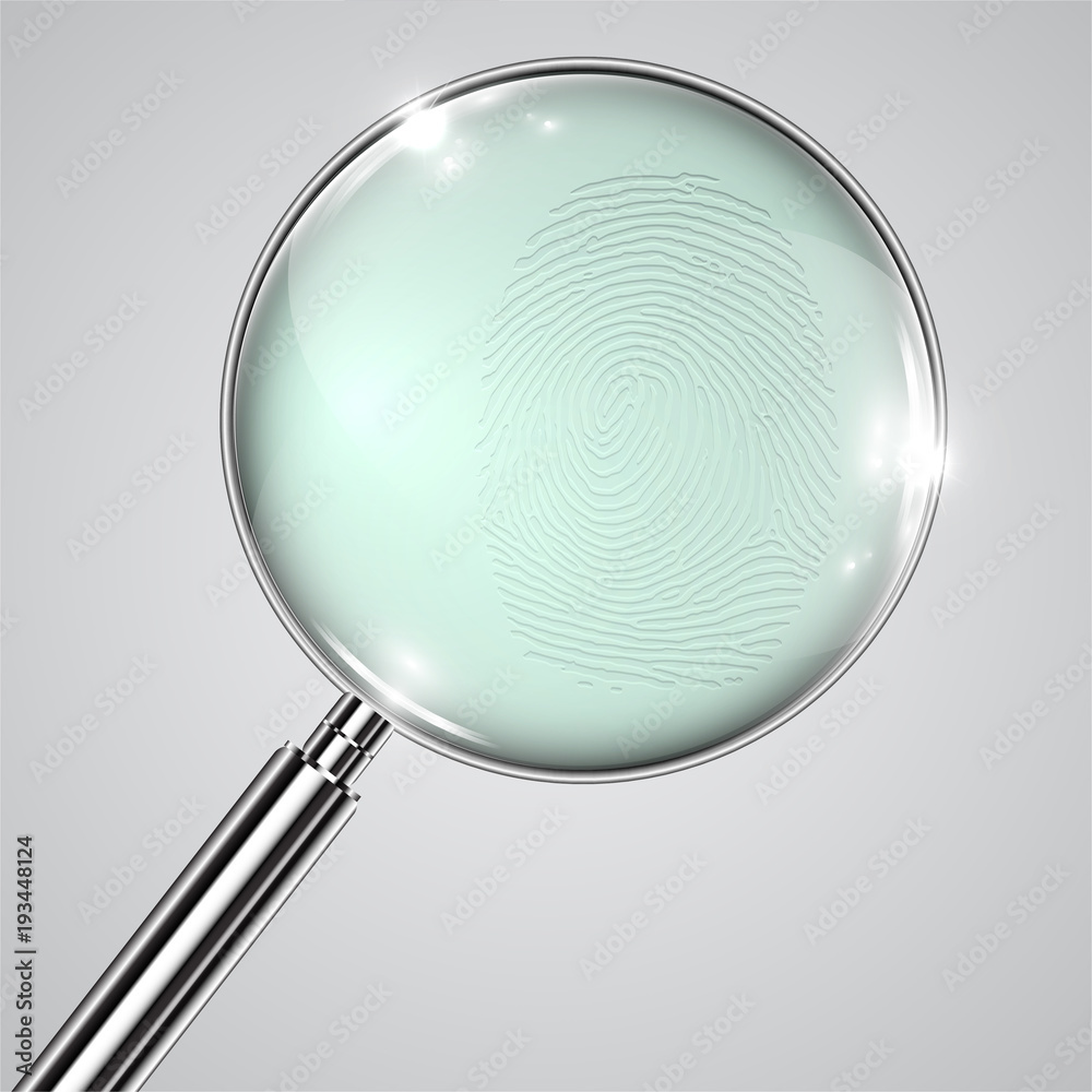 Fingerprint and a magnifier, vector. Fingerprint and a magnifier, vector.