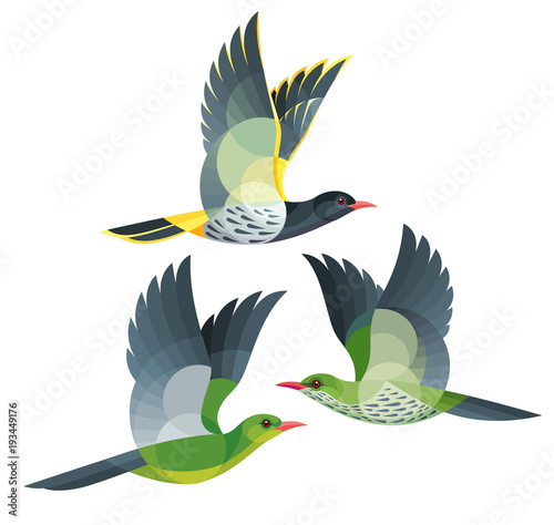 Stylized Birds in flight - Dark-throated Oriole, Olive-backed Oriole and Green Oriole