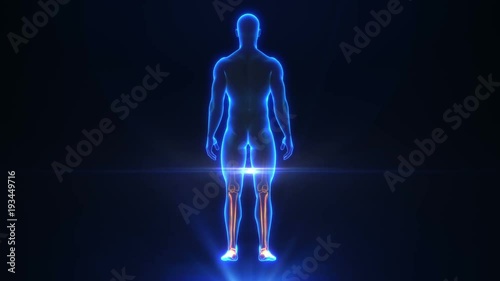 Medical Animation X-Ray Body Scan photo