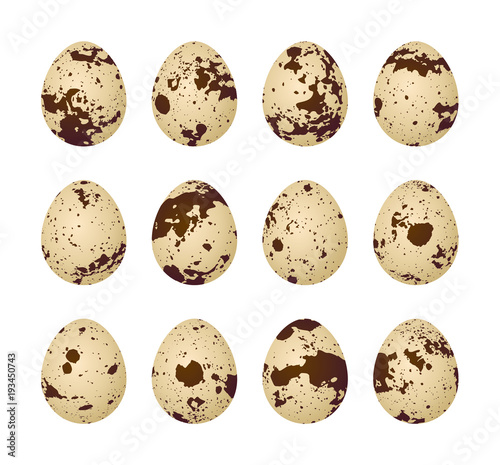 Quail eggs on a white background