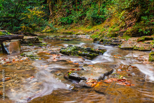 Slika na platnu Motion blurred rapids of the mountain river Bezumenka in autumn day, Sochi, Russ