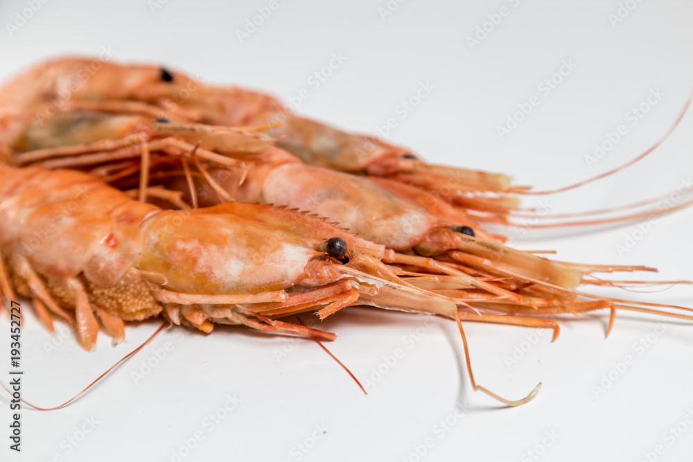 shrimp langoustine lie on a white background shrimp langoustine lie on a white background