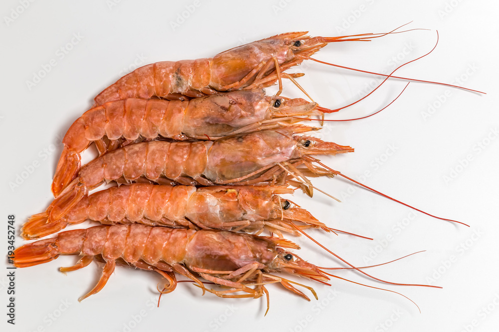 shrimp langoustine lie on a white background shrimp langoustine lie on a white background
