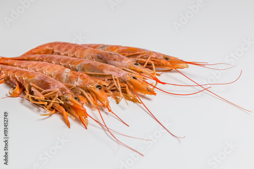 shrimp langoustine lie on a white background