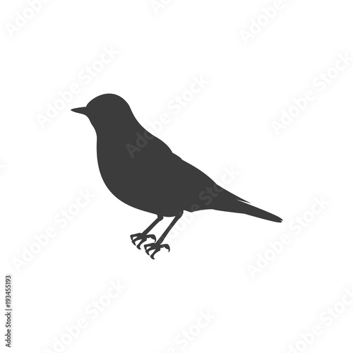 Bird Icon. Flat isolated vector illustration in black on white background © great_kit