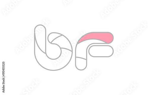 grey pink alphabet letter bf b f company logo design