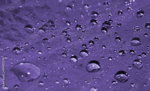 Morning dew  ultra violet 