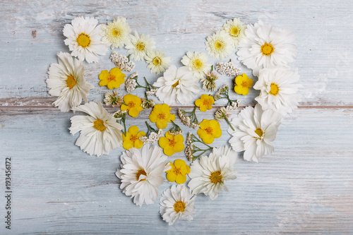 Fototapeta Naklejka Na Ścianę i Meble -  A bouquet of white flowers cosmea or cosmos with ribbon on white boards. Garden yellow flowers over handmade wooden table background. Backdrop with copy space.