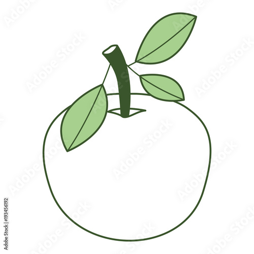 orange fresh and citrus fruit vector illustration design