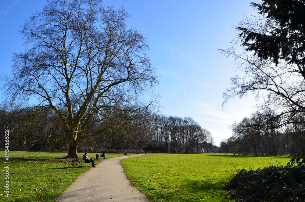 Obraz premium Camino