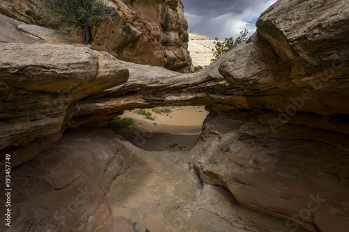 Cassidy Arch Trail