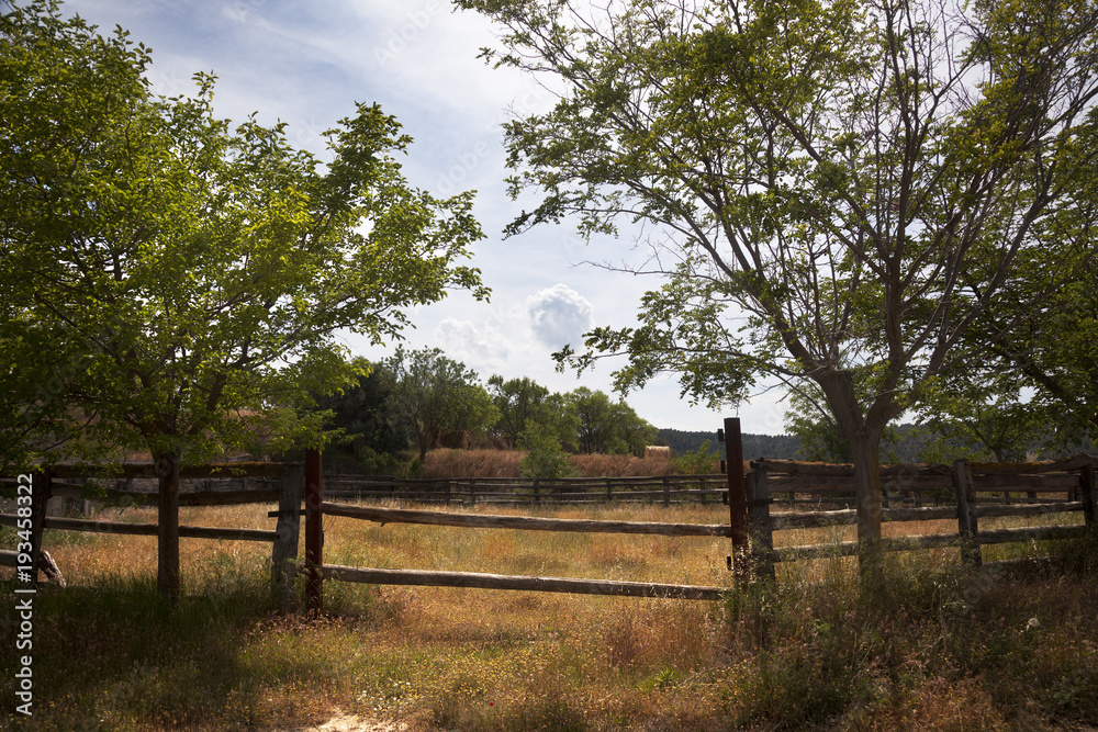 Corral