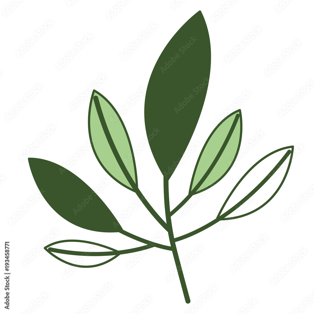 leafs plant ecology icon vector illustration design