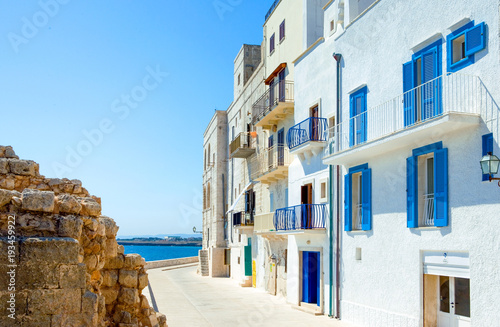 Obraz na plátně The architectures and colors of Monopoli