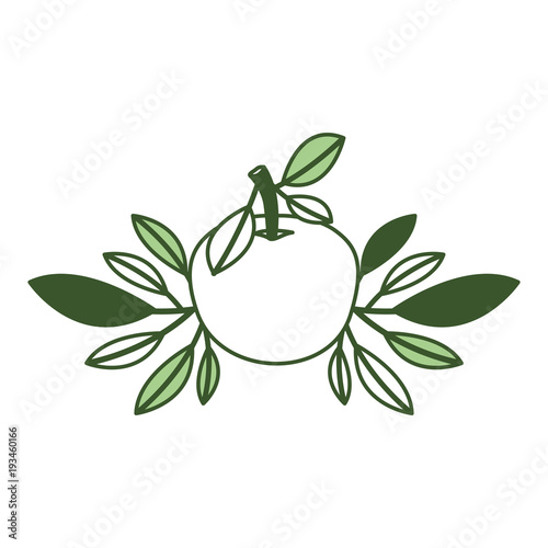 orange with leafs fresh and citrus fruit vector illustration design