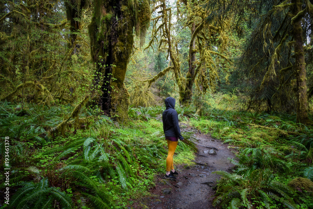 Hiker standing in the extremely lush green rain forest of the Olympic National Park