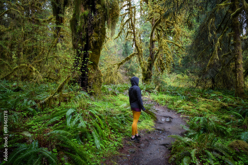 Hiker standing in the extremely lush green rain forest of the Olympic National Park © Nicholas Steven