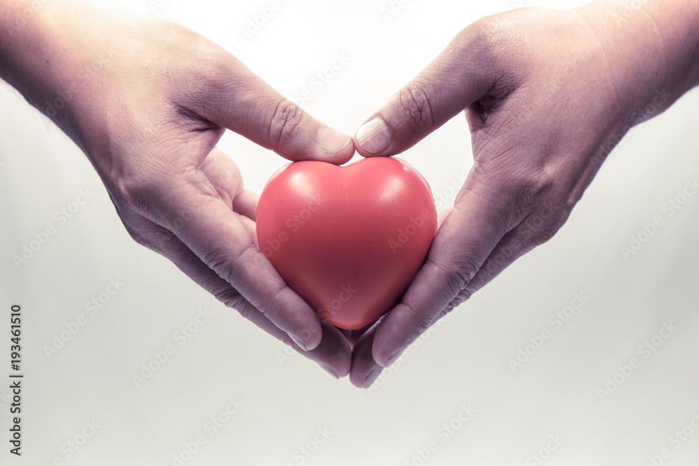 Obraz premium Close up of Red heart in hands on white background