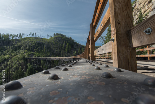 Kelowna Trussle bridge