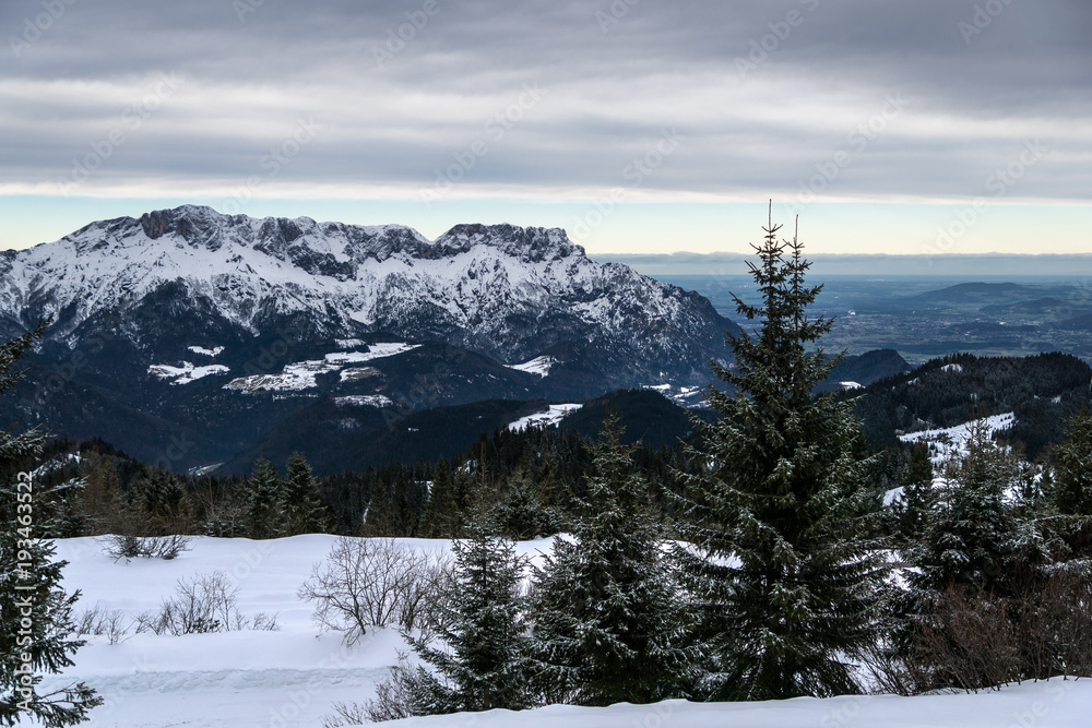 Panorama Panorama