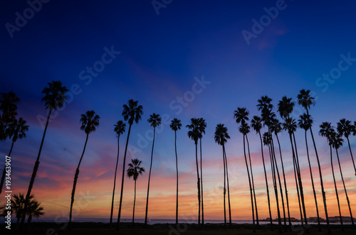 Tropical Beach sunset with Palm trees in Santa Barbara, California