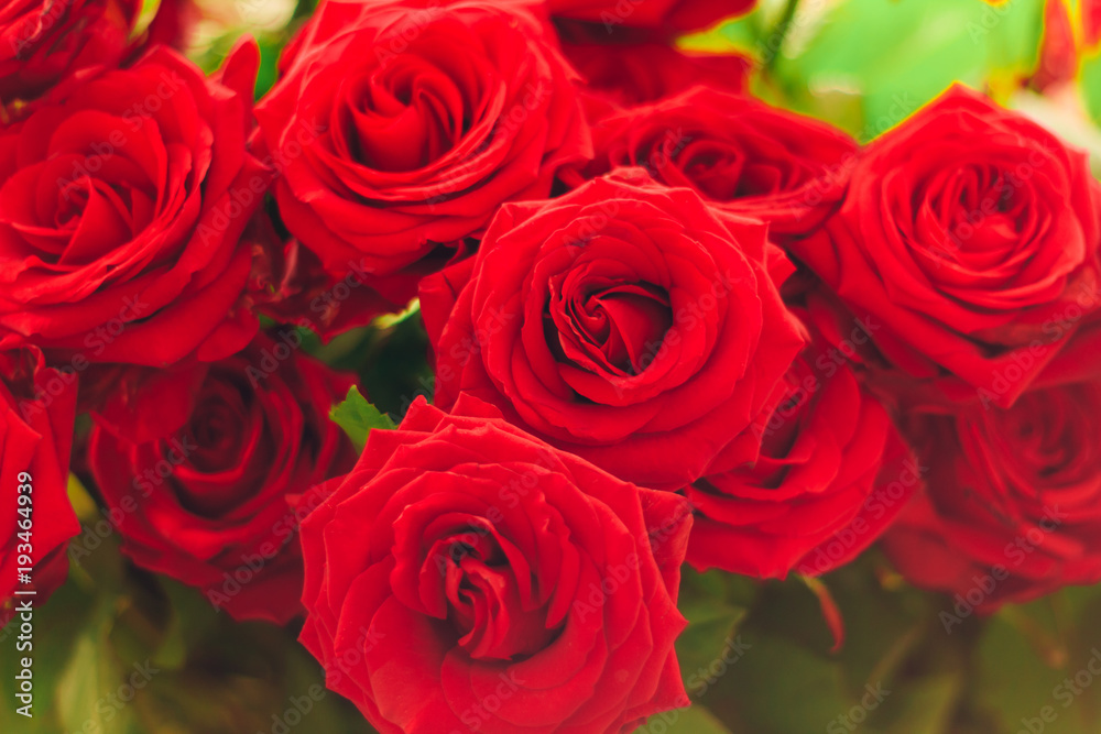 closeup red roses bouquet closeup red roses bouquet