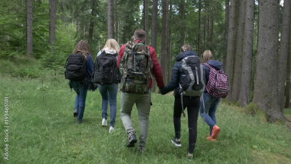 Loving teen couple holding hands walking together through the woods with their friends on hike trekking forest Loving teen couple holding hands walking together through the woods with their friends on hike trekking forest