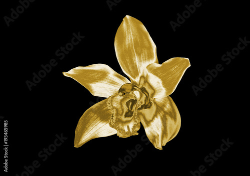 Gold flower on a black background .