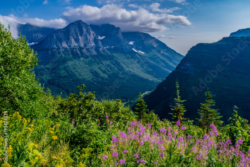 Beautiful Summer Day in Glacier National Park, Montana