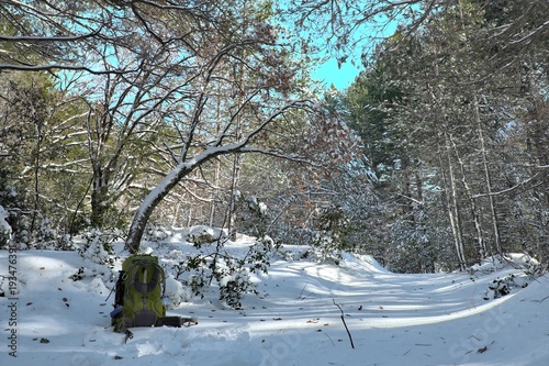 Green Backpack And Snowy Woods In Etna Park, Sicily