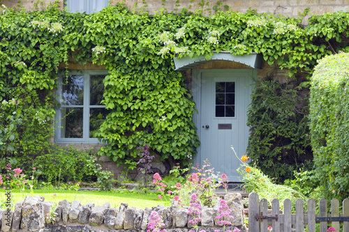 Light pastel blue wooden doors in an old traditional English lime stone cottage surrounded by climbing ivy  flowering summer plants .