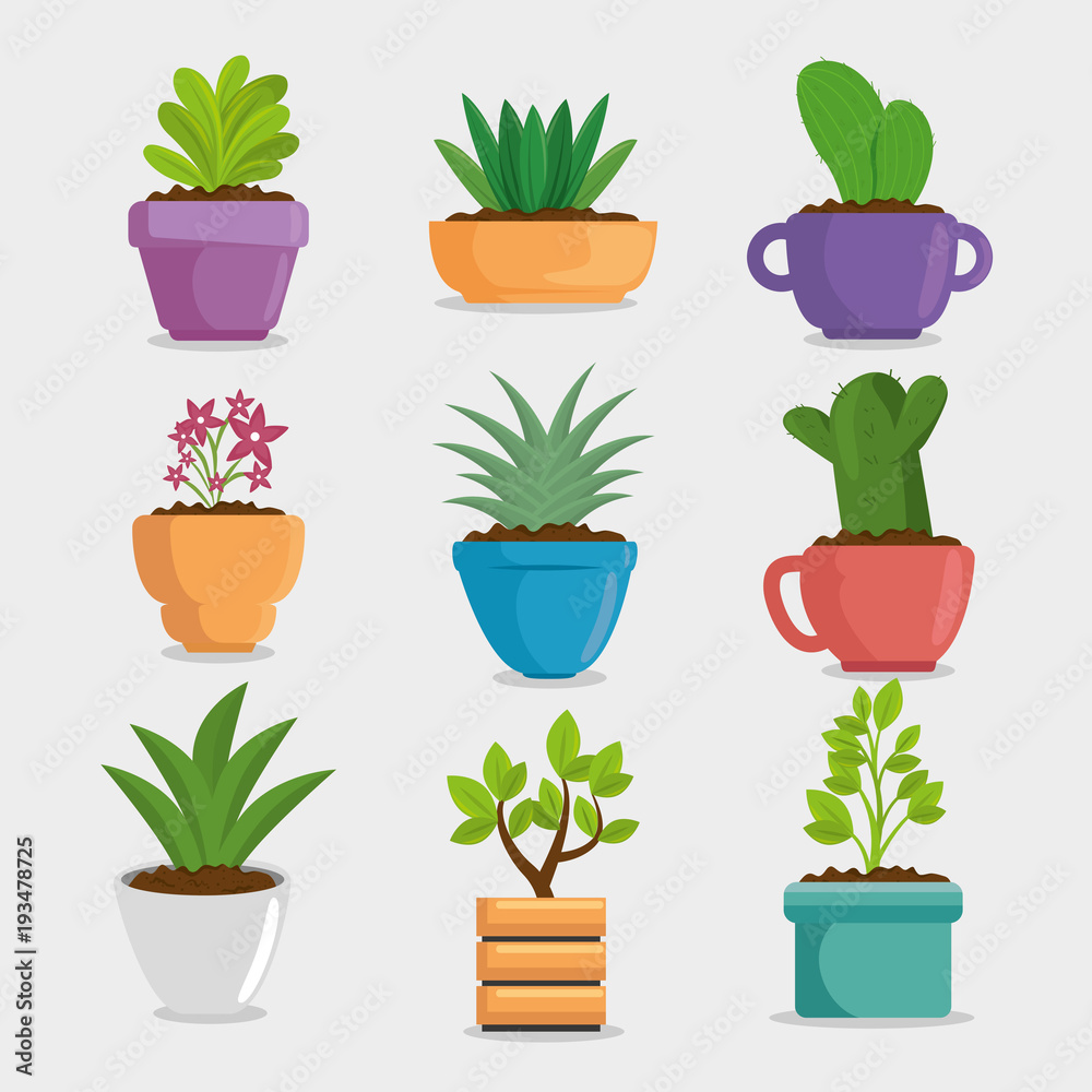 cute houseplant in pot vector illustration design