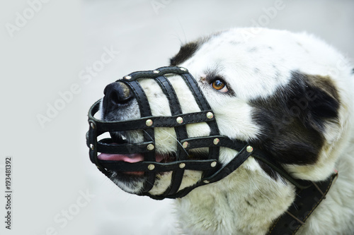 Fototapeta Naklejka Na Ścianę i Meble -  Protection, safety, restriction concept