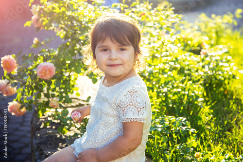 Baby girl sitting at blossoming rose bush on sunny day