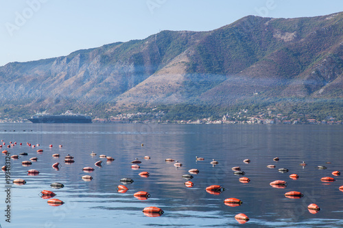 Oyster plantation in the Bay of Kator Bay. Montenegro. photo