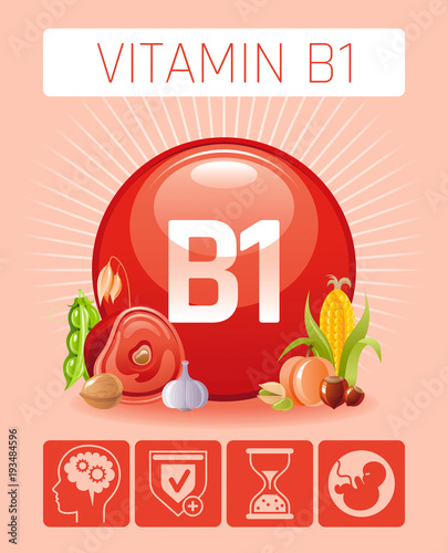 Thiamine Vitamin B1 food icons. Healthy eating flat icon set, text letter logo, isolated background. Diet Infographic chart poster, pork meat, soybean, oatmeal Table vector illustration, human benefit