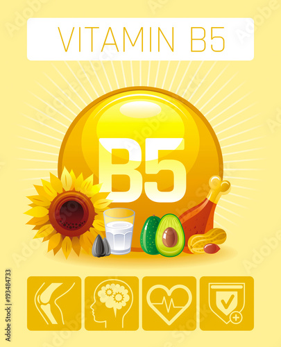 Pantothenic acid Vitamin B5 rich food icons. Healthy eating flat icon set, text letter logo, isolated background. Diet Infographic diagram placard. Table vector illustration, human health benefits