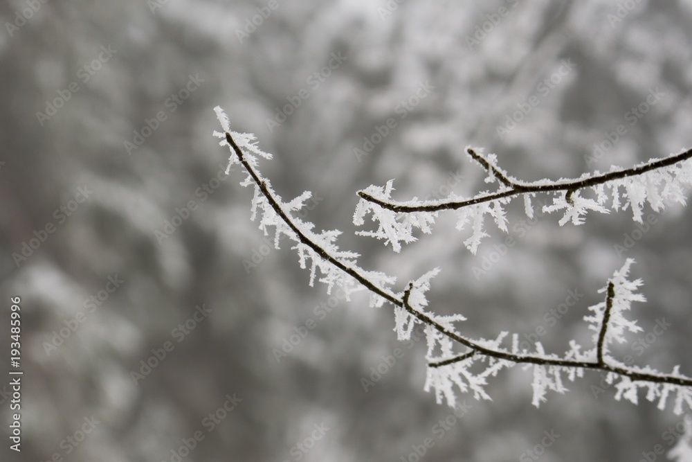 Nature covered in snow during deep winter. Slovakia Nature covered in snow during deep winter. Slovakia