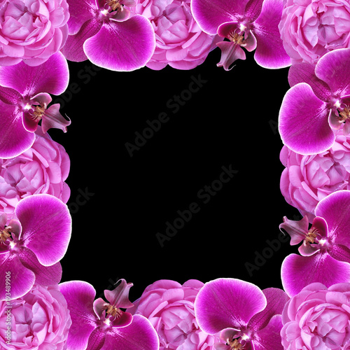 Fototapeta Naklejka Na Ścianę i Meble -  Floral frame of orchids and roses 