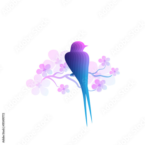 swallow on blooming tree branch