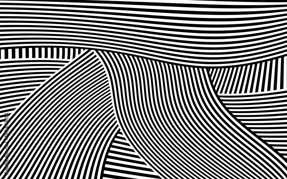 2676864 Zebra Design Black and White Stripes Vector